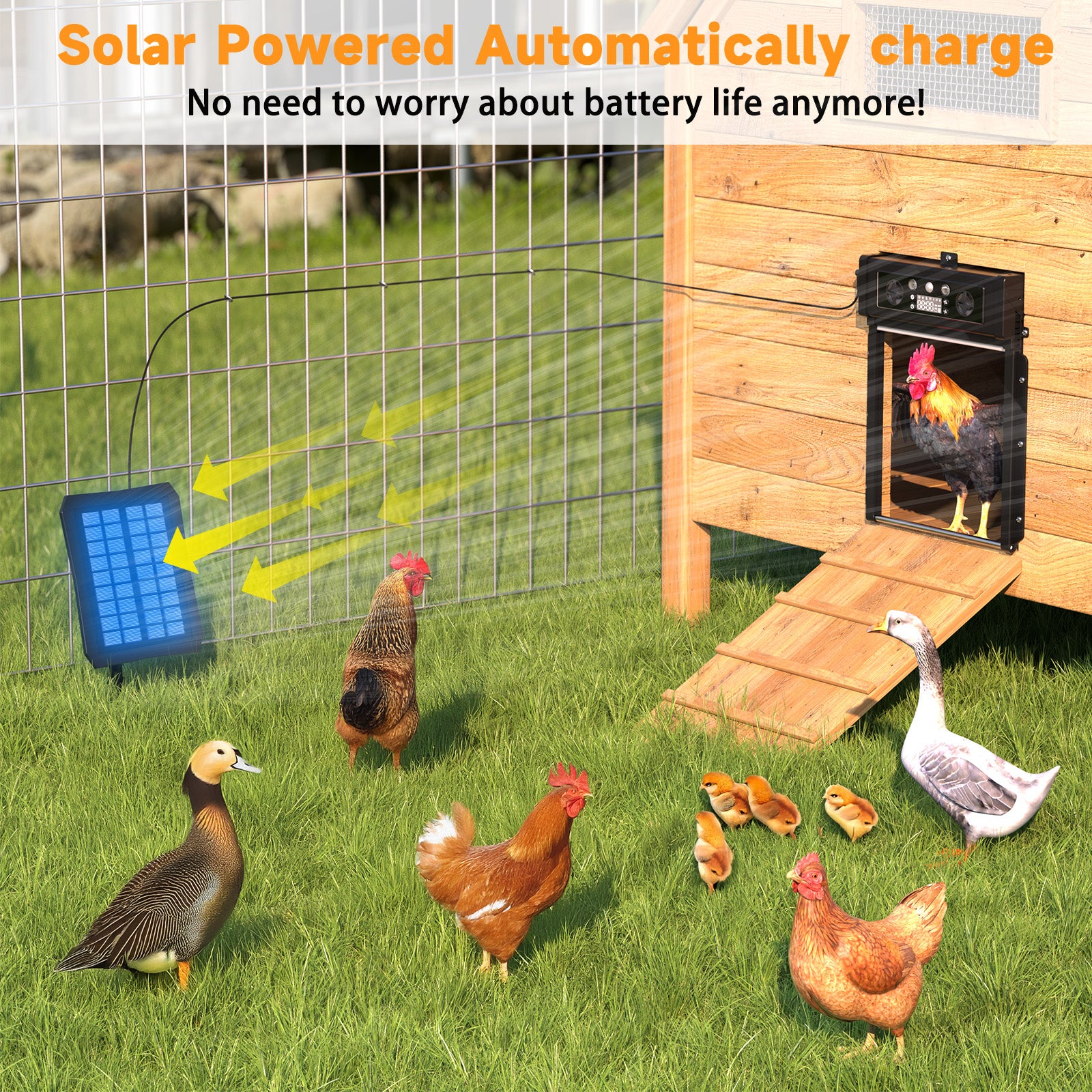 Automatic Chicken Coop Door Solar Powered, LCD Display Chicken Door with Timer & Light Sensor, 4 Modes Auto Chicken Door Solar with Remote Control, Anti-Pinch & Weather Proof Coop Door (Black)