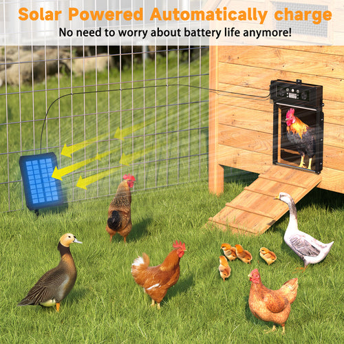Automatic Chicken Coop Door Solar Powered, LCD Display Chicken Door with Timer & Light Sensor, 4 Modes Auto Chicken Door Solar with Remote Control, Anti-Pinch & Weather Proof Coop Door (Black)